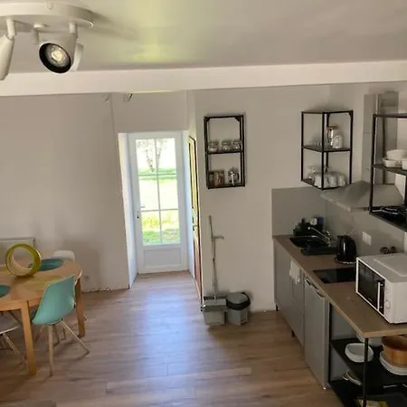 The Blue Lotus And *