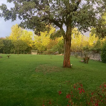 The Blue Lotus And Apartment Le Langon