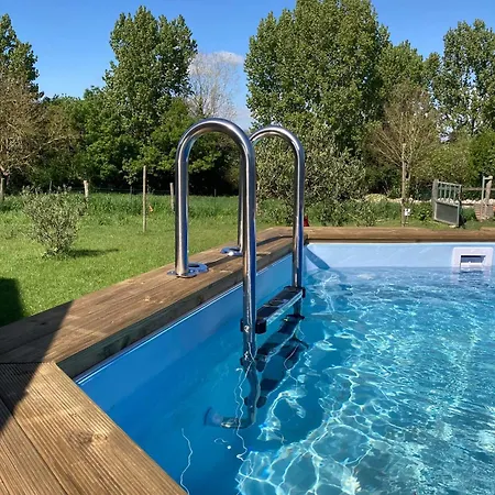 The Blue Lotus And *